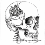 Steampunk Skull Coloring Pages for Sci-fi Enthusiasts 2