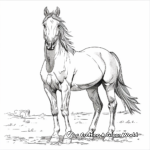 Stunning Overo Paint Horse Coloring Pages 1