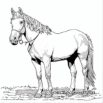 Stunning Overo Paint Horse Coloring Pages 3