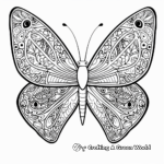 Stunning Paisley Butterfly Coloring Pages 4
