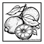 Summer Lemons Coloring Pages 1
