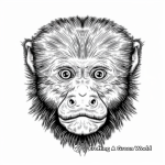 White-faced Capuchin Monkey Coloring Sheets 1