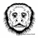 White-faced Capuchin Monkey Coloring Sheets 3