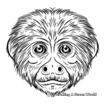 White-faced Capuchin Monkey Coloring Sheets 4