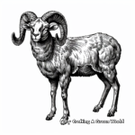Wildlife Enthusiast Ram Coloring Pages 1