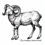 Wildlife Enthusiast Ram Coloring Pages 4