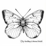Yellow Butterfly in the Garden Coloring Pages 1