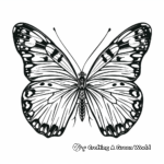 Yellow Butterfly in the Garden Coloring Pages 4