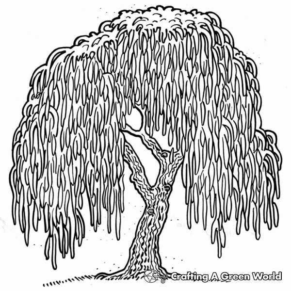 Tree Coloring Pages - Free &amp; Printable!