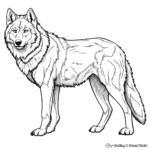 Realistic Grey Wolf Coloring Pages 3