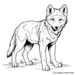 Realistic Grey Wolf Coloring Pages 4