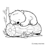 Sleeping Bear Hibernation Coloring Sheets for All Ages 1