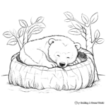Sleeping Bear Hibernation Coloring Sheets for All Ages 2