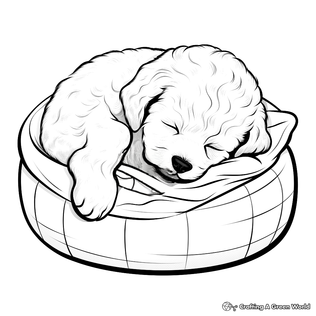 Maltipoo Coloring Pages - Free &amp; Printable!